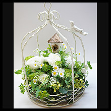 Birdcage　Design